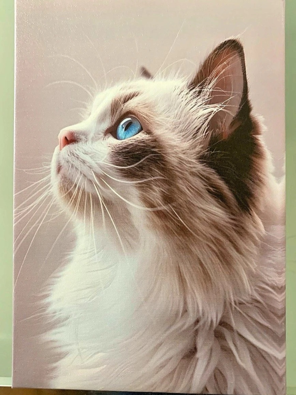 Cat Canvas Print in White & Pink